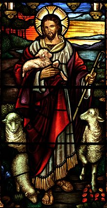 A stained glass depiction of Jesus as a Caucasian man with long brown hair, a beard and the characteristic Christian cross inscribed in the halo behind his head. The figure dressed in a white inner robe cover by a shorter, looser scarlet robe. Depicted as a Shepard, he is holding a crux in his left hand and carrying a lamb in his right. Sheep are positioned to the left and right of the figure.