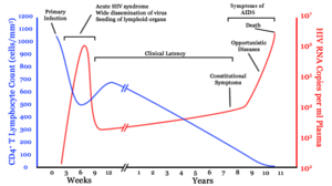 A graph with two lines. One in blue moves from high on the right to low on the left with a brief rise in the middle. The second line in red moves from zero to very high, then drops to low and gradually rises to high again