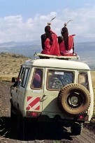 Maasai driving out - Our Africa