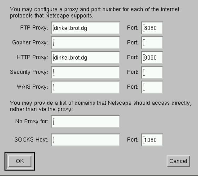 web-client-conf-cache-proxy