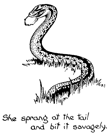 She sprang at the tail and bit it savagely.