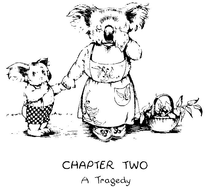 CHAPTER TWO



A Tragedy