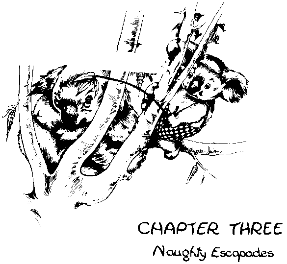 CHAPTER THREE



Naughty Escapades