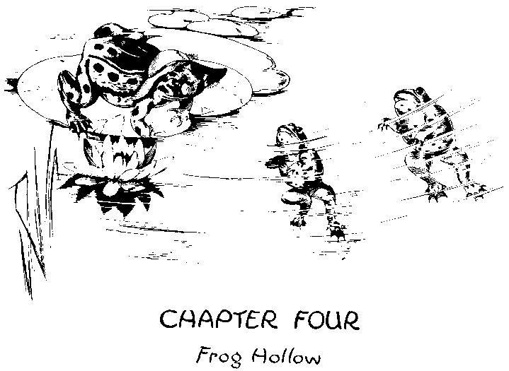 CHAPTER FOUR



Frog Hollow