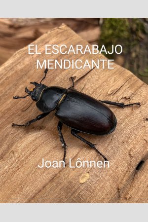 El Escarabajo Mendicante, de Joan Carlos Vinent