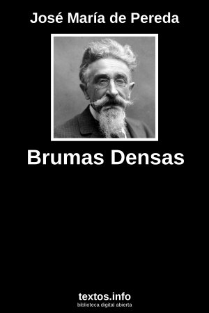 Brumas Densas, de José María de Pereda