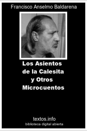 Los Asientos de la Calesita y Otros Microcuentos, de Francisco A. Baldarena