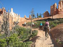 Horseriders on a dirt trail going toward pillars of pink rock