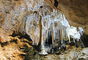 The forces of water decorated the cave in an almost endless array of spectacular limestone formations such as this column and array of stalactites