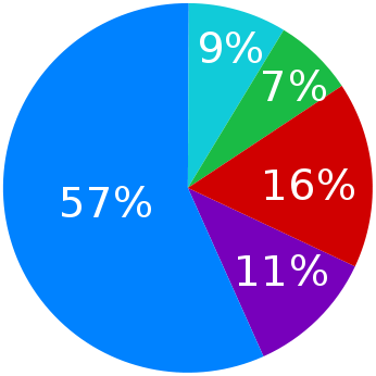 File:Languages spoken at home in the Brussels Capital Region (2006).svg