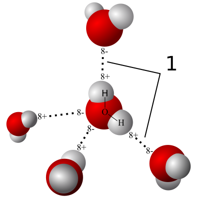 File:3D model hydrogen bonds in water.svg
