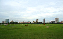 Kolkata skyline in background, with horses in a green field in the foreground