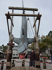 A large replica of the film's shark hangs from a wooden frame. A sign next to it says 