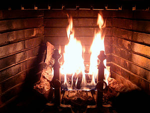 Wood-burning fireplace with burning log.