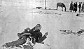 Big Foot, dead at Wounded Knee (1890).jpg