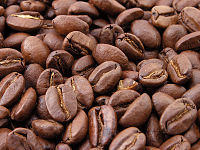 Coffee beans; a coffee bean contains between 0.8 - 2.5% caffeine.