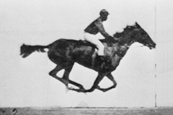 Película que muestra un caballo corriendo.