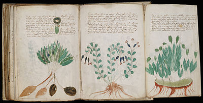 Manuscrito Voynich (170) .jpg