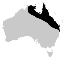 Un mapa de Australia con la distribución del sapo de caña destacó: La zona sigue la costa noreste de Australia, que van desde el Territorio del Norte hasta el extremo norte de Nueva Gales del Sur.