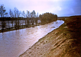 Río Trabancos (fluye) .jpg