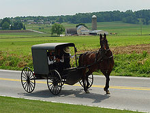 Una familia Amish en un carrito tirado por caballos plaza pasa a una casa de campo, granero y granero; más granjas y bosques en la distancia.