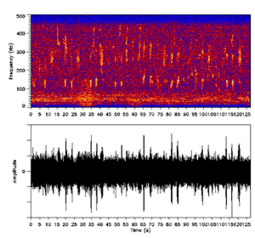 Dos imágenes espectrales con eje X es el tiempo. En uno, el eje Y es la frecuencia y hay un patrón complicado en la región de 10-450 Hz. En el otro, el eje Y es la amplitud, que es en gran medida constante, pero con muchos pequeños picos.