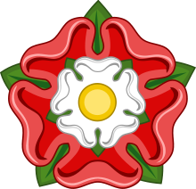 A red and white flower.