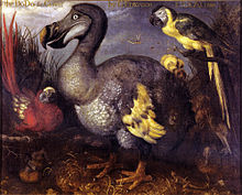 Pintura de un Dodo, con un loro rojo en su lado izquierdo, y una azul en su derecho