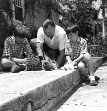 un hombre de pelo oscuro que llevaba una camisa ligera con dos chicos de pelo oscuro con pantalones cortos, sentado en un patio de piedra jugando con tres gatitos