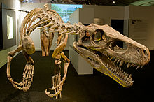 Esqueleto de un dinosaurio carnívoro, con las fauces abiertas y los dientes afilados lugar destacado en el primer plano.