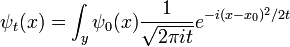 
\psi_t(x) = \int_y \psi_0(x) {1\over \sqrt{2\pi it}} e^{-i (x-x_0)^2 / 2t}
\,