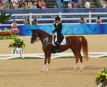 A chestnut (reddish-brown) horse being ridden by a rider in a black coat and top hat. They are stopped in a riding arena with the rider tipping his hat.