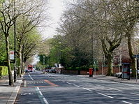 Haute Chorlton Road, dans la spring.jpg