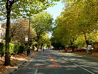 Haute Chorlton Road, dans la autumn.jpg