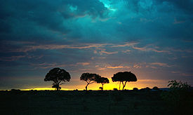 Coucher de soleil sur le Maasai Mara