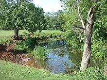 la rivière qui coule entre les banques herbeuses avec des arbres des deux côtés