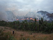Brûler forêt tropicale malgache