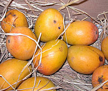Photo de 10 grandes mangues