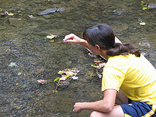 Une femme prend des échantillons de l'eau d'une rivière