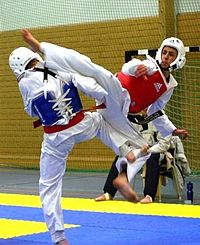 Taekwondo WTF 1.jpg