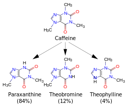 Un schéma avec quatre formules chimiques squelettiques. Top (caféine) concerne des composés similaires paraxanthine, théobromine et la théophylline.