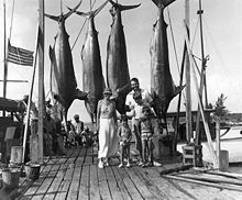 un homme, une femme et trois garçons debout sur un quai avec quatre gros poissons suspendus à des crochets au-dessus de leurs têtes