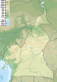 Mont Cameroun est situé au Cameroun