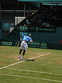 Davis Cup.jpg