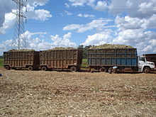 Foto de caminhões de reboque cheio com cana-planta
