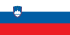 Flag of Slovenia.svg