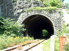 Túnel de pedra com trilhos de trem emergentes a partir dele, cercado por vegetação.