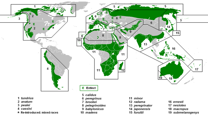 Um mapa do mundo, mostras verdes em vários continentes, mas também existem vários grandes pontos desencapados marcados com o E para extinta.