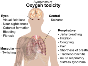 A diagraph showing a man torso and listing symptoms of oxygen toxicity: Eyes – visual field loss, near)sightedness, cataract formation, bleeding, fibrosis; Head – seizures; Muscles – twitching; Respiratory system – jerky breathing, irritation, coughing, pain, shortness of breath, tracheobronchitis, acute respiratory distress syndrome.