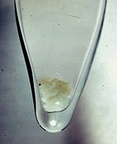 Secção transversal de um frasco de vidro que mostra a precipitação de neve-como marrom-branca na parte inferior.